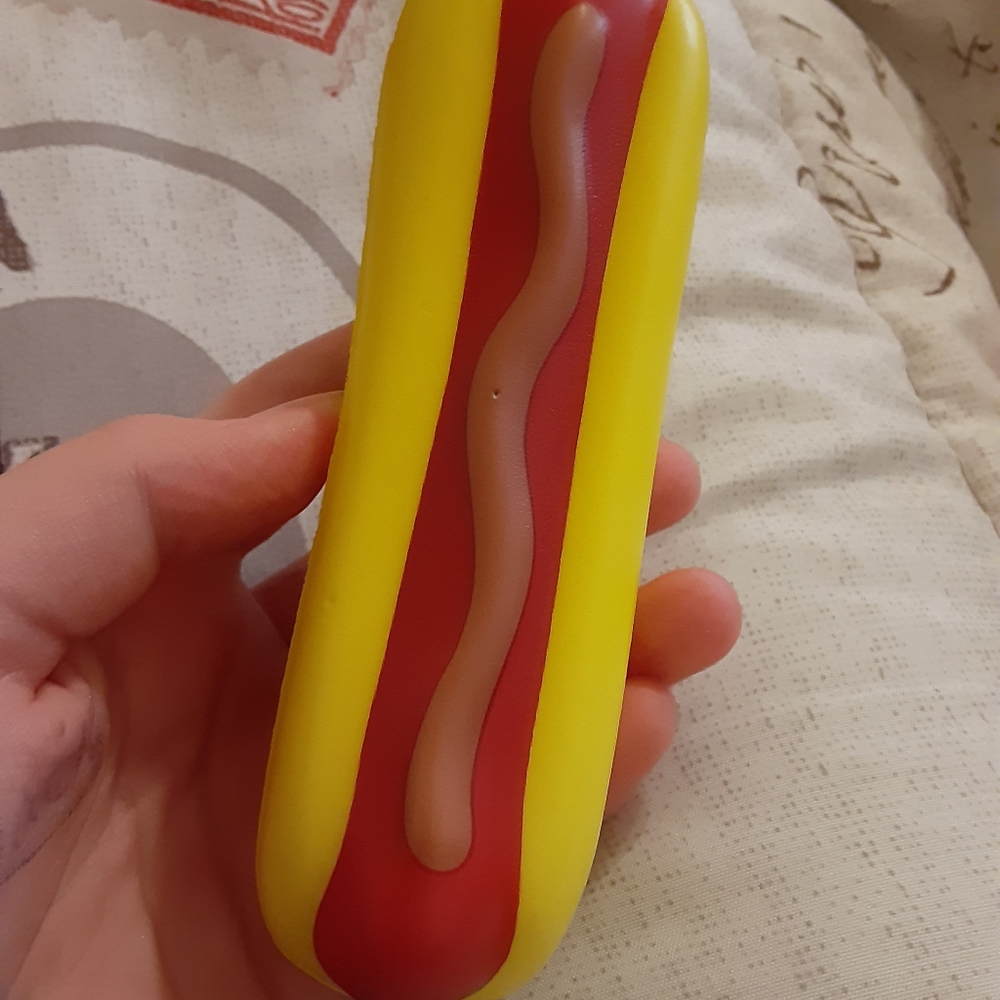 Funky hot dog squishy